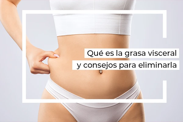 que es la grasa viscera